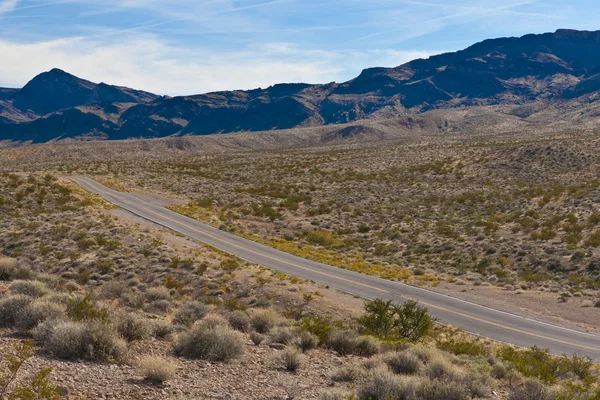 Un camino en el desierto de Nevada — Foto de Stock
