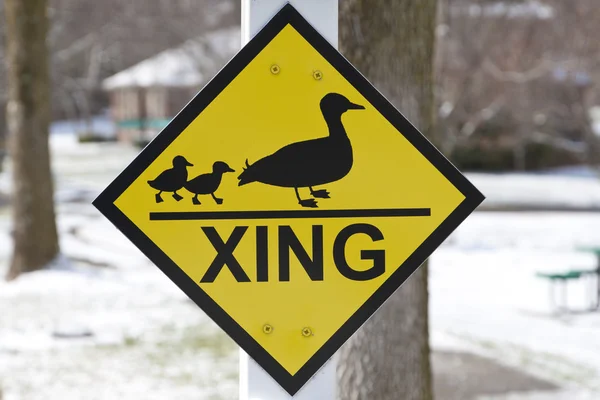 Señal de advertencia de paso de pato . — Foto de Stock