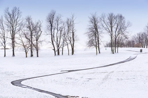 Winter country scene with trees and a path. — Stock Photo, Image