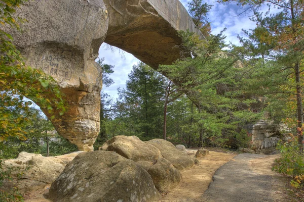 Ponte cielo in pietra naturale nella foresta . — Foto Stock
