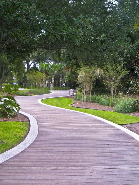Fából készült kerti ösvény-ban egy trópusi park열 대 공원에서 나무 경로. — Stock Fotó
