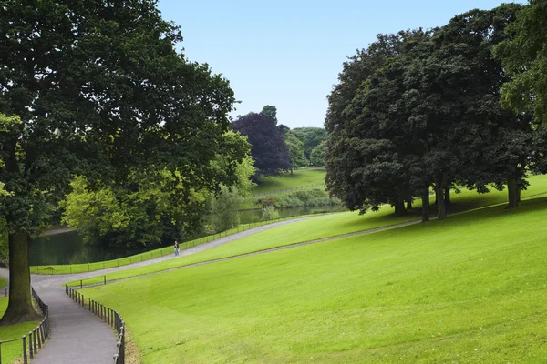 Pathway într-un parc verde luxuriant — Fotografie, imagine de stoc