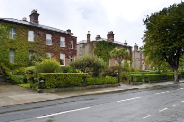 Sarmaşık kaplı evleri de dublin, İrlanda.