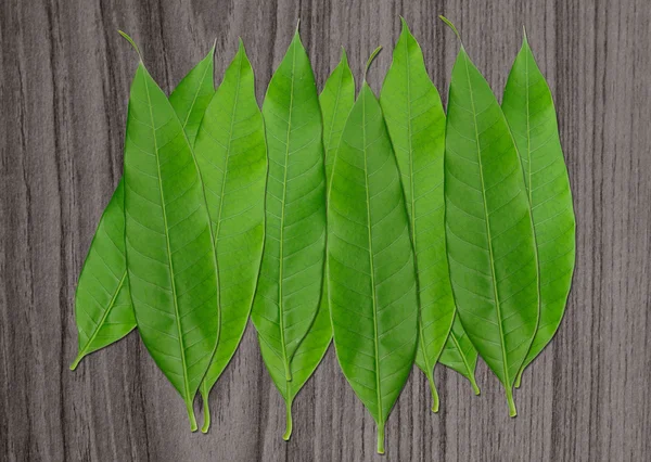 Hromadu zelených listů na dřevěné — Stock fotografie