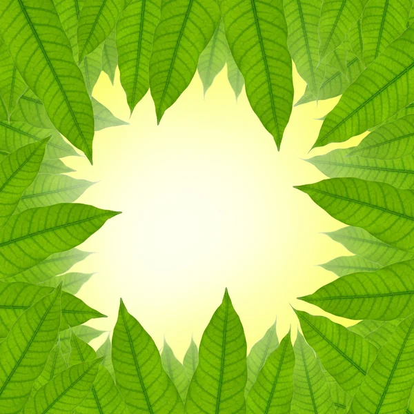 Yeşil yaprak çerçeve arka plan — Stok fotoğraf