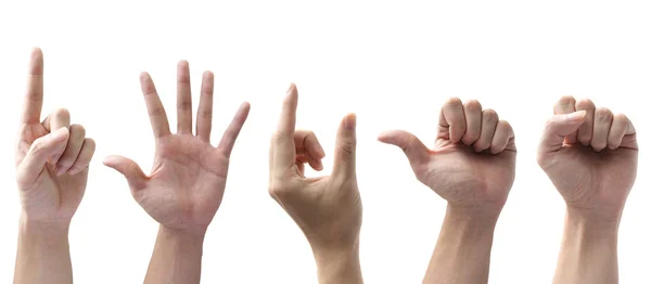 Conjunto de mãos gestuais isoladas sobre fundo branco — Fotografia de Stock