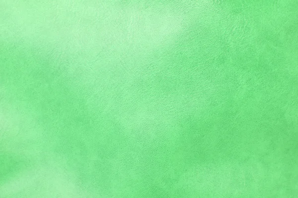 Texture in pelle verde — Foto Stock