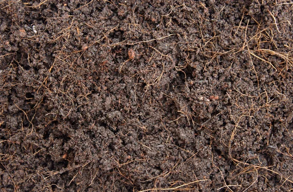 Tło gleby — Zdjęcie stockowe