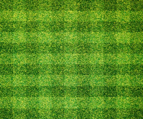 Artificial grass background — Stock Photo, Image