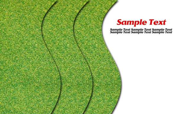 Зеленая трава изолирована кривой белой линией — стоковое фото