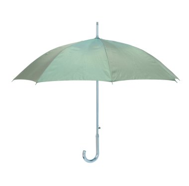 Beyaz arka plan üzerinde izole klasik yeşil şemsiye