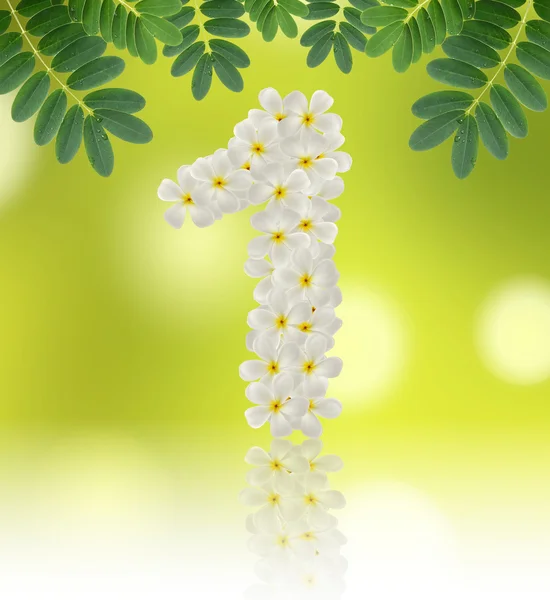 Números uno hecho de flores tropicales frangipani (plumeria ) — Foto de Stock