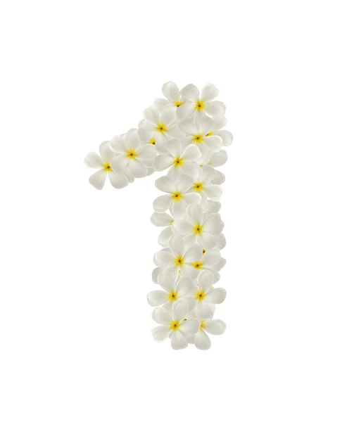 Numery jeden wykonane z tropikalnych kwiatów frangipani (plumeria) — Zdjęcie stockowe