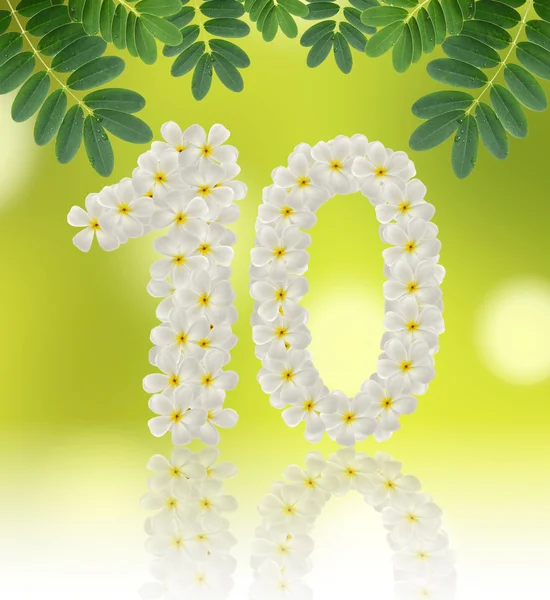 Numbers ten made of tropical flowers frangipani (plumeria) — Stock Photo, Image