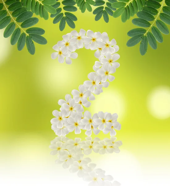 Numbers two made of tropical flowers frangipani (plumeria) — Stock Photo, Image