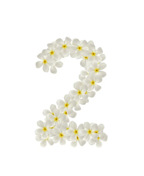 Numbers two made of tropical flowers frangipani(plumeria) — Stock Photo, Image