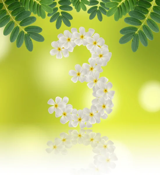 Numbers three made of tropical flowers frangipani (plumeria) — Stock Photo, Image