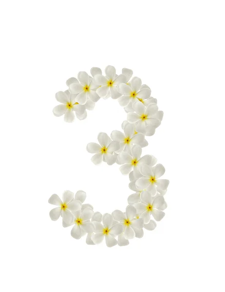 Nummers drie gemaakt van tropische bloemen frangipani (plumeria) — Stockfoto