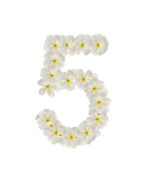 Numbers five made of tropical flowers frangipani(plumeria) — Stock Photo, Image