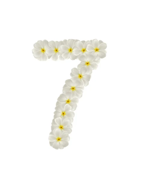 Números siete hechos de flores tropicales frangipani (plumeria ) — Foto de Stock
