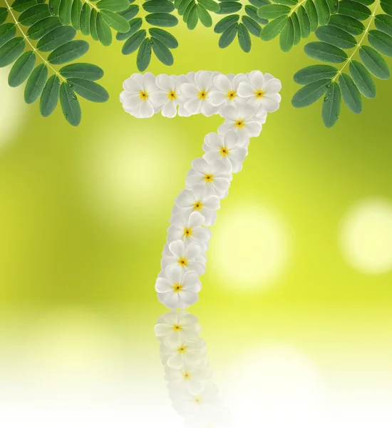 Numbers seven made of tropical flowers frangipani (plumeria) — Stock Photo, Image