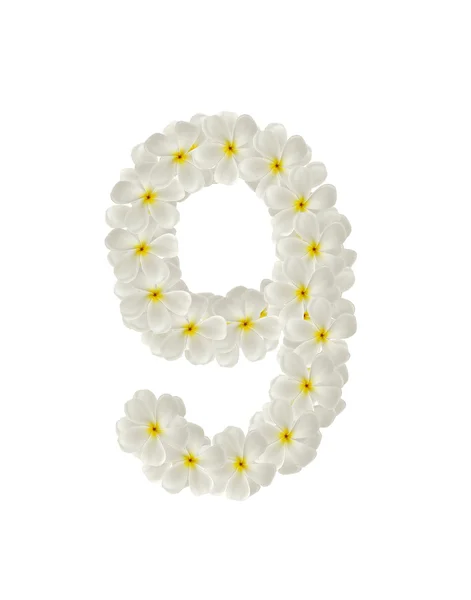 Numbers nine made of tropical flowers frangipani(plumeria) — Stock Photo, Image