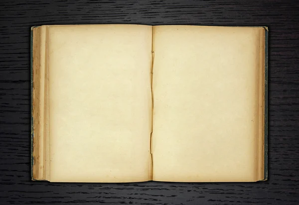 Old book open on dark wood background Stock Picture