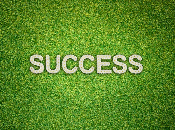 Success word made from flowers on green grass background — Stock Photo, Image