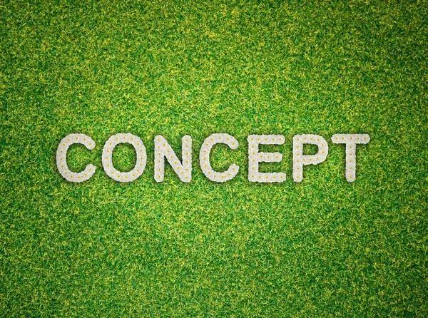 Concept word made from flowers on green grass background — Stock Photo, Image