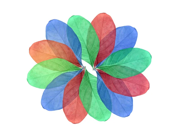 Абстрактний барвистий лист ізольований на білому — стокове фото