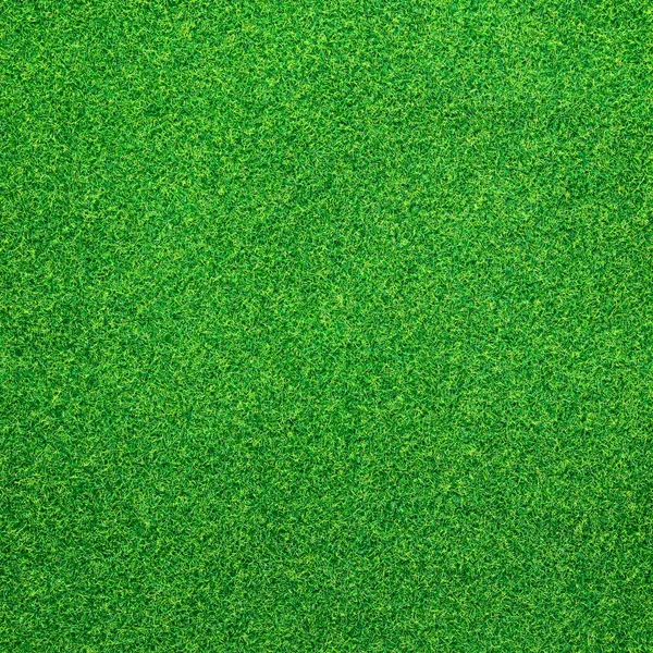 Groene grasachtergrond Stockfoto