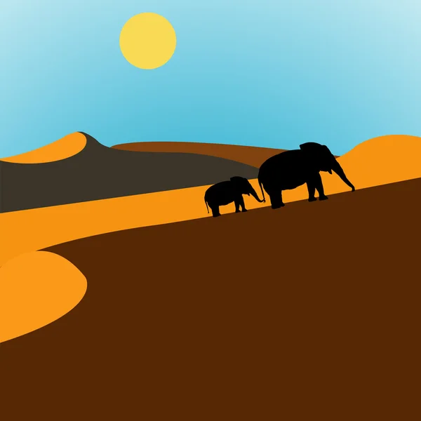 Elefantes Desierto Amanecer — Foto de Stock
