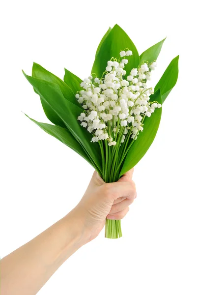 Hand holding a lily of the valley isolated on the white — Stock Photo, Image