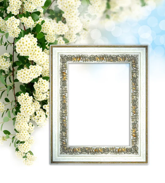Vintage bakgrund med vackra vita blommor — Stockfoto