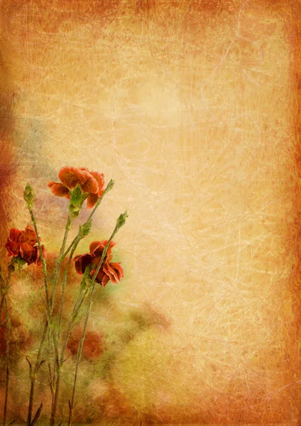Vintage bakgrund med nejlikor blommor — Stockfoto