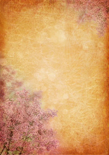 Fondo vintage con flores lila — Foto de Stock