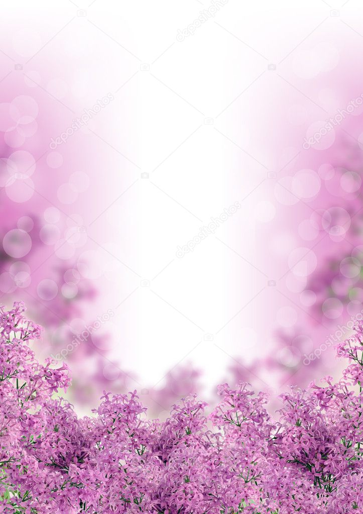 Beautiful spring lilac flowers background