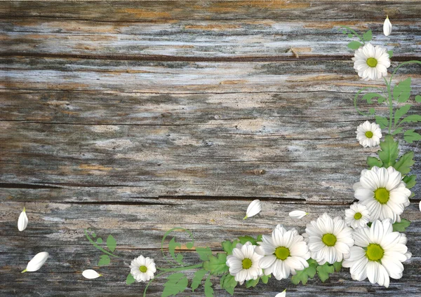 stock image Wood background with chamomile