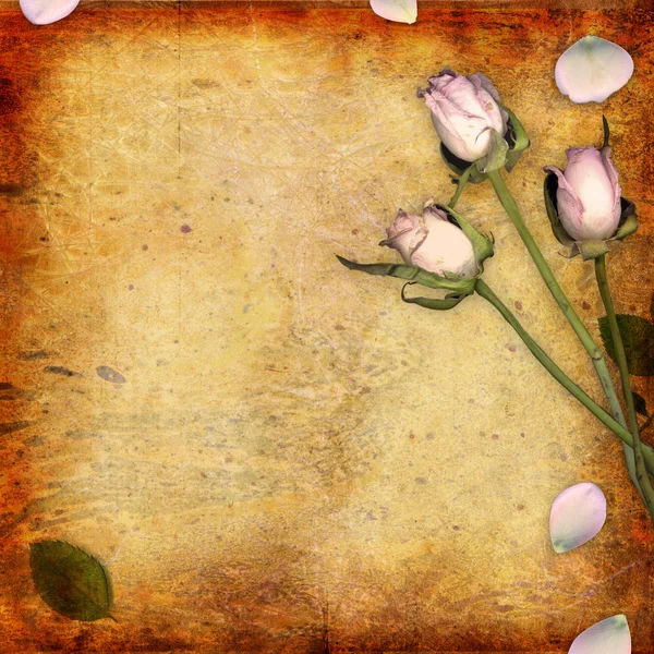 Grunge fundo abstrato com rosas — Fotografia de Stock