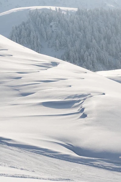 Vinterscene med is og snø – stockfoto