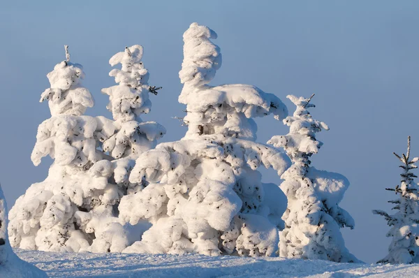 stock image Winter scene with ice and snow