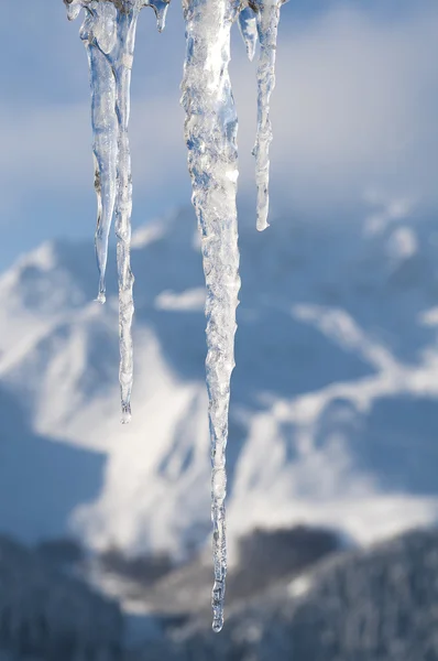 Vinter scene med is og sne - Stock-foto