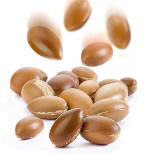 Semi di argan — Foto Stock