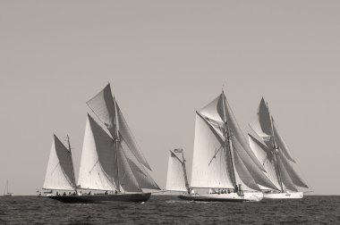 Vele D'epoca Imperia 092010 trofeo Panerai