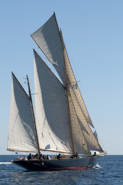 Vele D'epoca Imperia 092010 trofeo Panerai