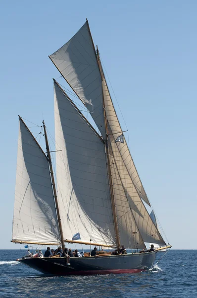 stock image Vele D'epoca Imperia 092010 trofeo Panerai