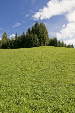 Dolomiti yakınındaki san martino di castrozza, trentino, İtalya