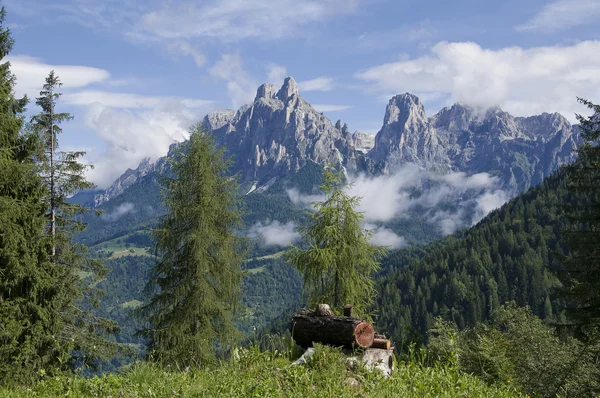 Dolomiti nära san martino di castrozza, trentino, Italien — Stockfoto
