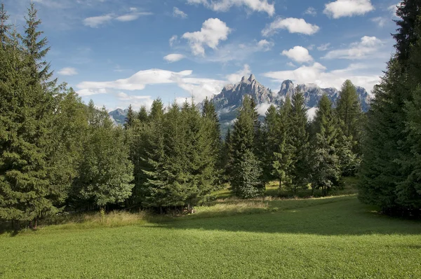 Dolomiti közelében San Martino di Castrozza, Trentino, Olaszország — Stock Fotó