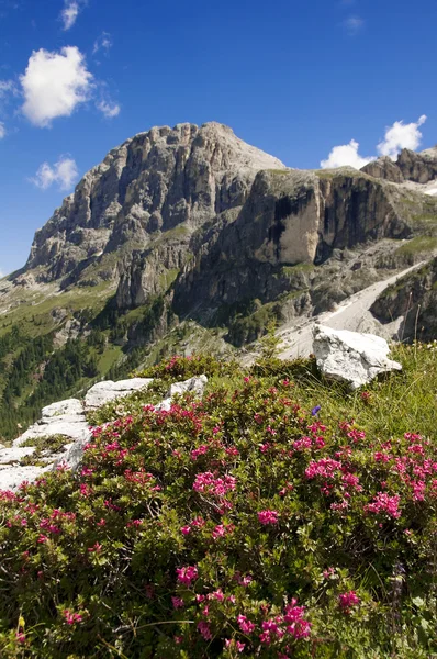 Dolomiti, w pobliżu miejscowości san martino di castrozza, trentino, italy — Zdjęcie stockowe